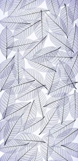 Images Dated 20th December 2022: USA, Washington State, Seabeck. Black and white pattern of skeletonized leaves