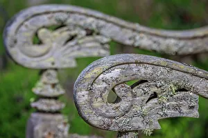 Lichen Prints: USA, Washington State, Seabeck. Weathered lawn chair wood