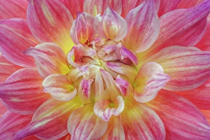 Vivid Prints: USA, Washington State, Seabeck