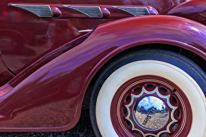 Tire Prints: USA, Washington State, Seabeck