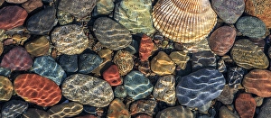 Underwater Prints: USA, Washington State, Seabeck