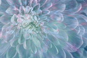 Pastel Prints: USA, Washington State, Seabeck