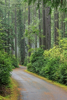 Images Dated 21st January 2024: USA, Washington State, Seabeck