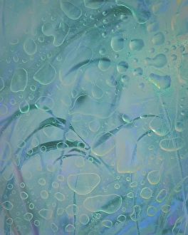 Images Dated 20th July 2024: USA, Washington State, Seabeck. Composite of water drops and grass