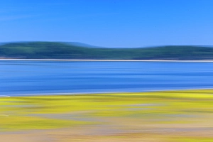 Blur Prints: USA, Washington State, Seabeck. Abstract of Hood Canal at low tide