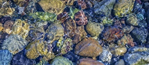 Images Dated 20th July 2024: USA, Washington State, Seabeck, Hood Canal. Rocks and ripples in beach water