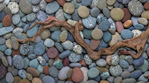 Images Dated 20th July 2024: USA, Washington State, Seabeck. Panoramic of driftwood on beach rocks