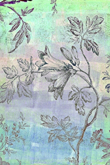Images Dated 20th July 2024: USA, Washington State, Seabeck. Floral design