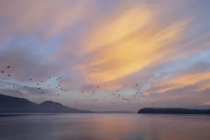 USA, Washington State, Seabeck. Sunrise over Hood Canal