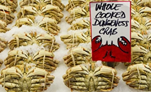 Images Dated 3rd January 2012: USA, Washington State, Seattle. Cooked Dungeness crab on ice display at Pike Place
