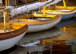 Lake Union Prints: USA, Washington State, Seattle. Sailboats moored at dock