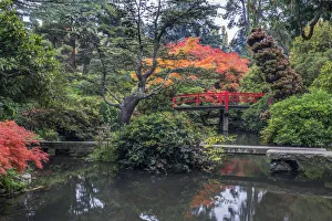 Place Prints: USA, Washington State, Seattle. Kubota Japanese Garden