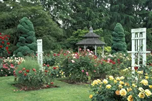 Images Dated 22nd March 2005: USA, Washington State, Seattle. Gazebo and roses in bloom at the Woodland Park Zoo Rose Garden