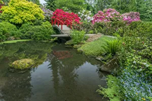 Place Prints: USA, Washington State, Seattle. Kubota Garden