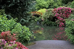 USA, Washington State, Seattle. Moon bridge with blossoming rhododendrons and pond