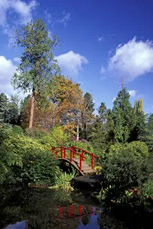 USA, Washington State, Seattle. Moonbridge and fall color in Kubota Garden