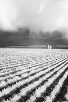 Silo Prints: USA, Washington State, Silo with Storm front coming