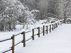 Landscape Prints: USA, Washington State. Snow covered fence
