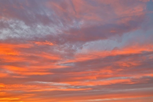 Images Dated 16th September 2024: USA, Washington State. Sunrise looking near Sun Mountain Lodge