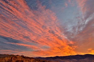 Images Dated 16th September 2024: USA, Washington State. Sunrise looking near Sun Mountain Lodge
