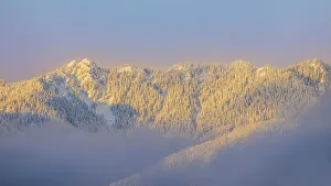 Images Dated 23rd November 2022: USA, Washington State. Sunrise on snow-covered mountains in Olympic National Forest