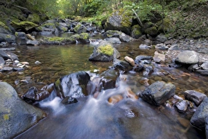 Images Dated 13th August 2006: USA, Washington State, Swift Reservoir. A stream flows from the moutains into Swift Reservoir
