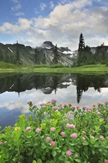 Subalpine Prints: USA, Washington State. Table Mountain reflected in small lake in Heather Meadows