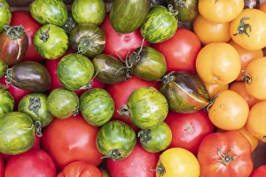Images Dated 25th September 2019: USA, Washington State, Vancouver. Fresh heirloom tomatoes for sale at a farmers market