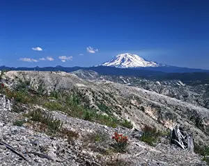 Images Dated 13th February 2013: USA, Washington State, View of Mt Adams from the windy ridge area of Mt. St Helens