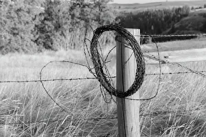 Images Dated 24th March 2022: USA, Washington State, Whitman County, Palouse. Barbed wire fence Posts