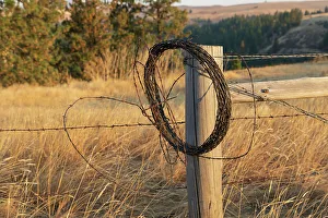 Images Dated 24th March 2022: USA, Washington State, Whitman County, Palouse. Barbed wire fence Posts