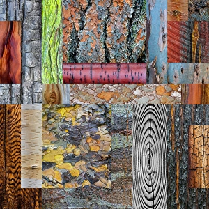 Grain Prints: USA, Washington State. Wood and bark collage