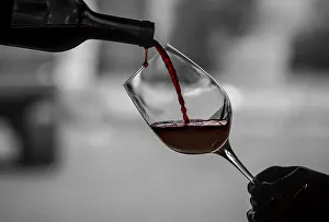 USA, Washington State, Woodinville. Barrage Cellars