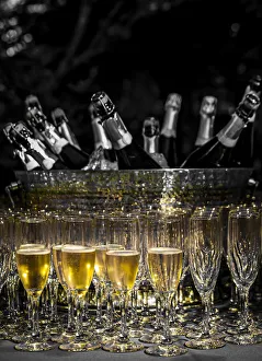 USA, Washington State, Woodinville. Sparkling wine bottles