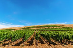 New Images March 2024 Prints: USA, Washington State, Yakima Valley