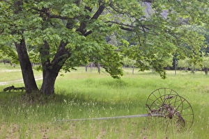 Homestead Prints: USA, Washington, Stehekin. Historic Buckner Orchard and Homestead in North Cascades National Park