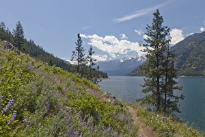 Lake Chelan Prints: USA, Washington, Stehekin. Landscape of Lake Chelan