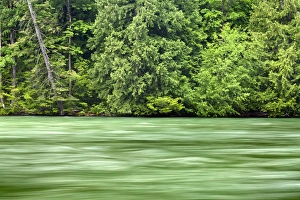 Images Dated 10th June 2011: USA, Washington, Stehekin. Stehekin River flowing through North Cascades National Park