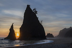 Images Dated 19th April 2016: USA, Washington. Sunset on sea stacks at Rialto Beach