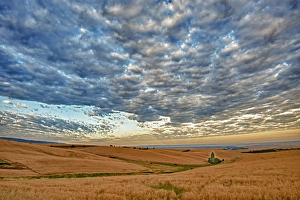 Images Dated 13th August 2011: USA, Washington, Walla Walla. Dawn breaks on a wheatfield in Walla Walla