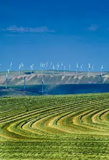 USA, Washington, Walla Walla. Wind turbines overlook farmland