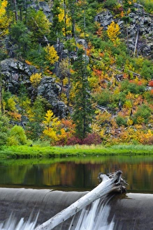 Leavenworth Prints: USA, Washington, Wenatchee. Fall color along the Wenatchee River near Leavenworth