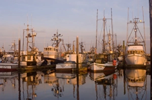 Images Dated 6th March 2007: USA, Washington, Westport Harbor