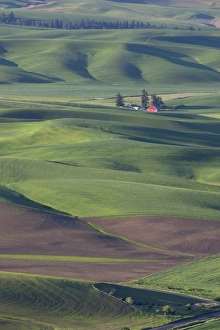Images Dated 10th June 2009: USA, Washington, Whitman County, Palouse Farmland, view from Steptoe Butte