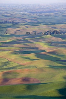 Images Dated 11th June 2009: USA, Washington, Whitman County, Palouse Farmland, view from Steptoe Butte