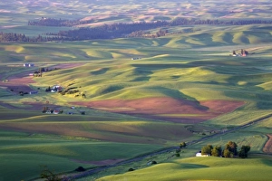 Images Dated 11th June 2009: USA, Washington, Whitman County, Palouse Farmland, view from Steptoe Butte