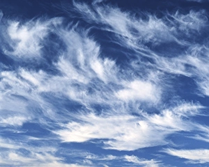 Cirrus Prints: USA, Washington, Whitman County, clouds