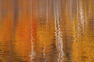 Images Dated 16th October 2005: USA, Washington, Winthrop. Autumn reflections on Beaver Pond