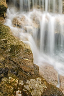 Images Dated 1st June 2013: USA, West Virgina, Thomas. Close-up of Douglas Falls