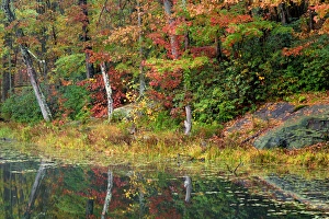Images Dated 9th October 2015: USA, West Virginia, Babcock State Park. Credit as: Jay O Brien / Jaynes Gallery